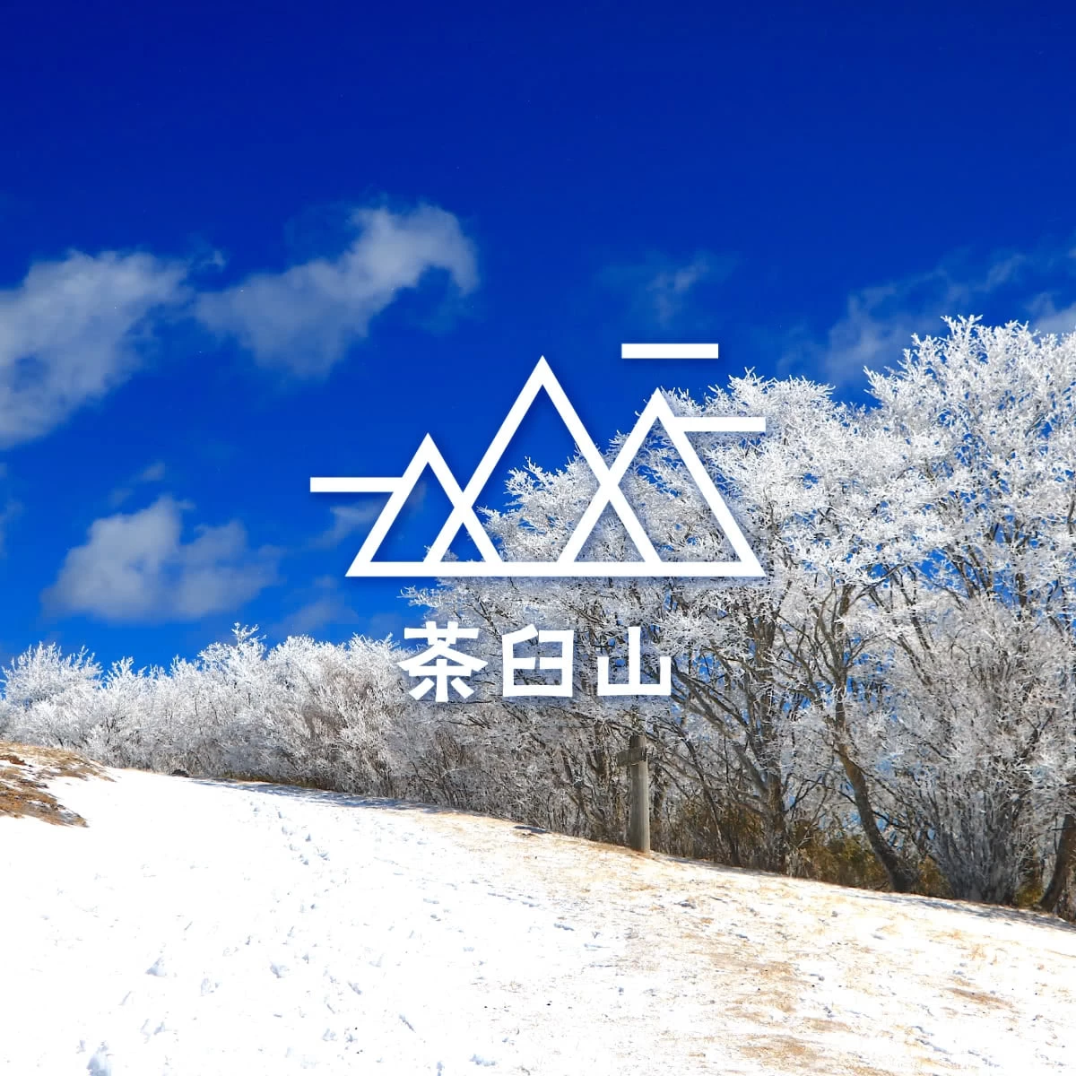 愛知・茶臼山で霧氷鑑賞  幻想的な冬に出合う旅