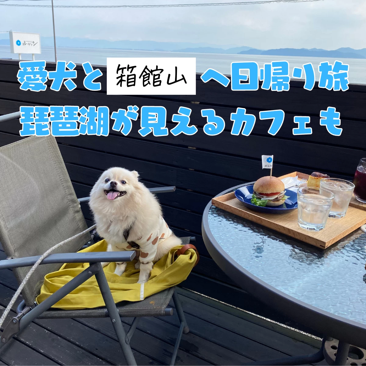 愛犬と箱館山へ日帰り旅  琵琶湖が見えるカフェも