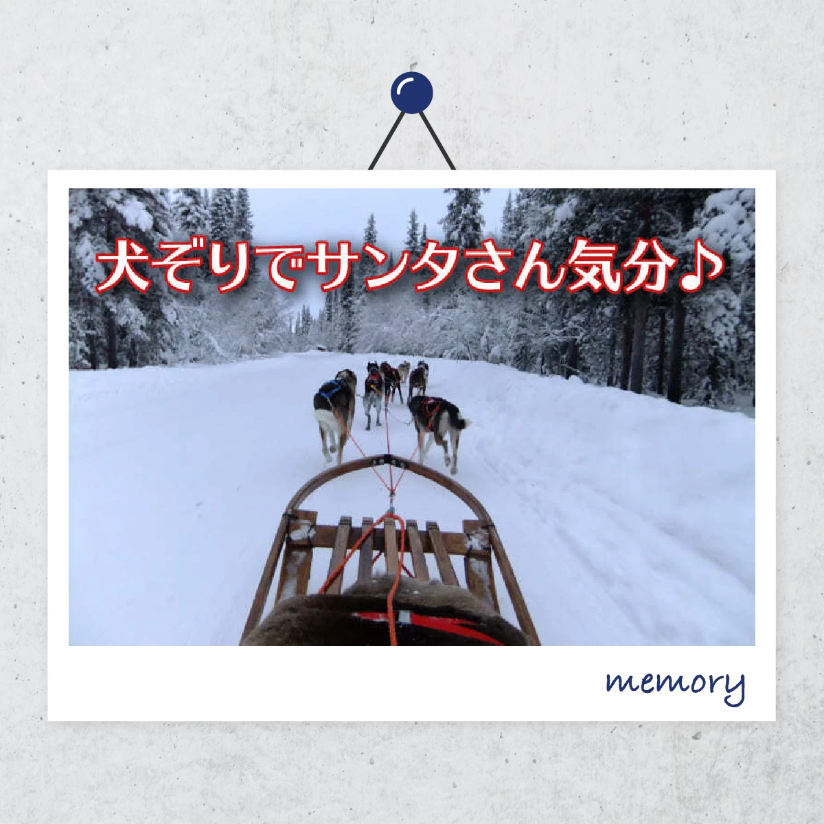 北海道を楽しむ冬旅　十勝で犬ぞり体験も！