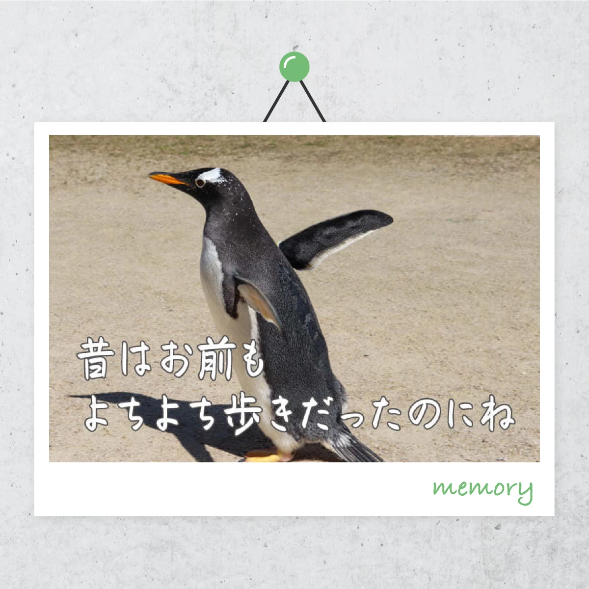 長崎のペンギン水族館へ　孫と絶景を巡る日帰り旅