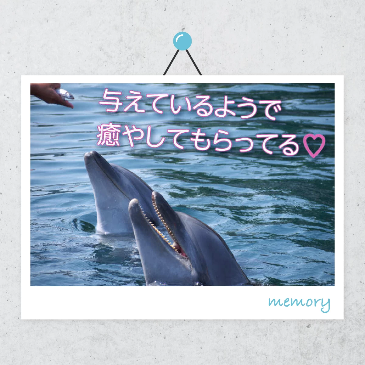 香川でプチ贅沢な女子旅  イルカの触れ合い体験も