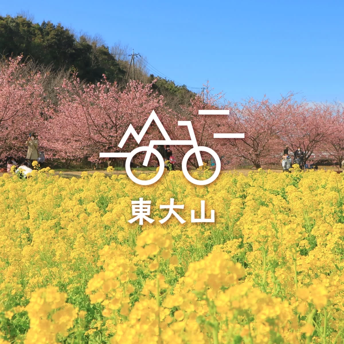 早咲きの河津桜を求めて  浜名湖サイクリング旅