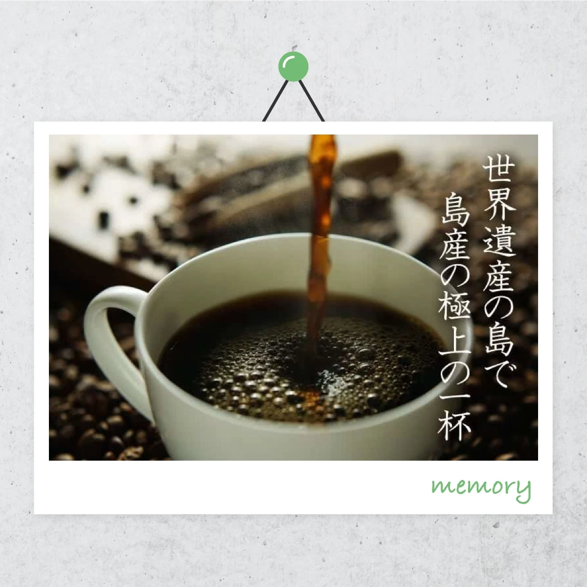 徳之島・奄美大島へ  国産コーヒーや大自然を満喫
