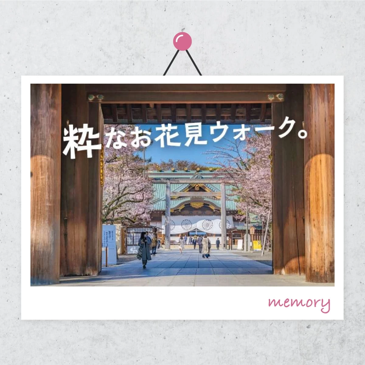 東京の桜の名所を巡る  赤坂～麹町さんぽ旅