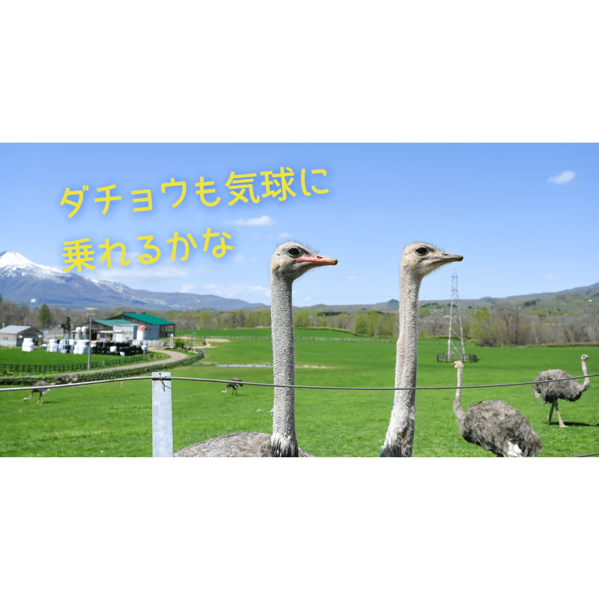 北海道・ニセコへ家族旅  2泊3日で大自然を満喫