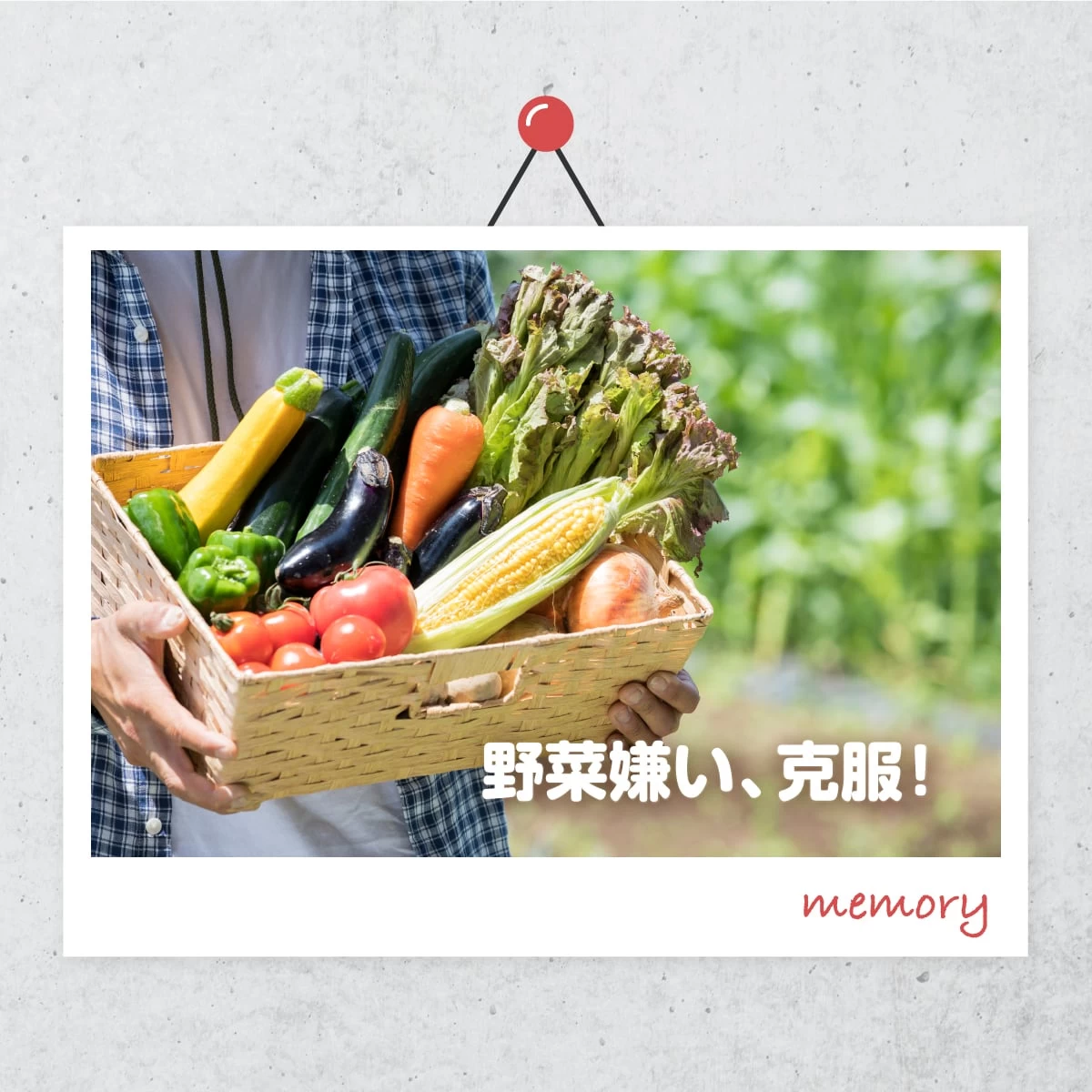埼玉・深谷テラスで野菜の収穫体験！子供の野菜嫌いを克服旅