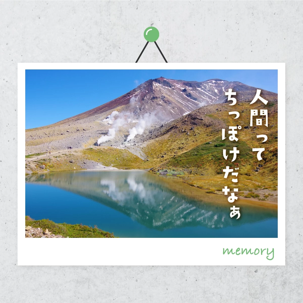 北海道で自然を学ぶ夏旅　写真や展示で知る大雪山