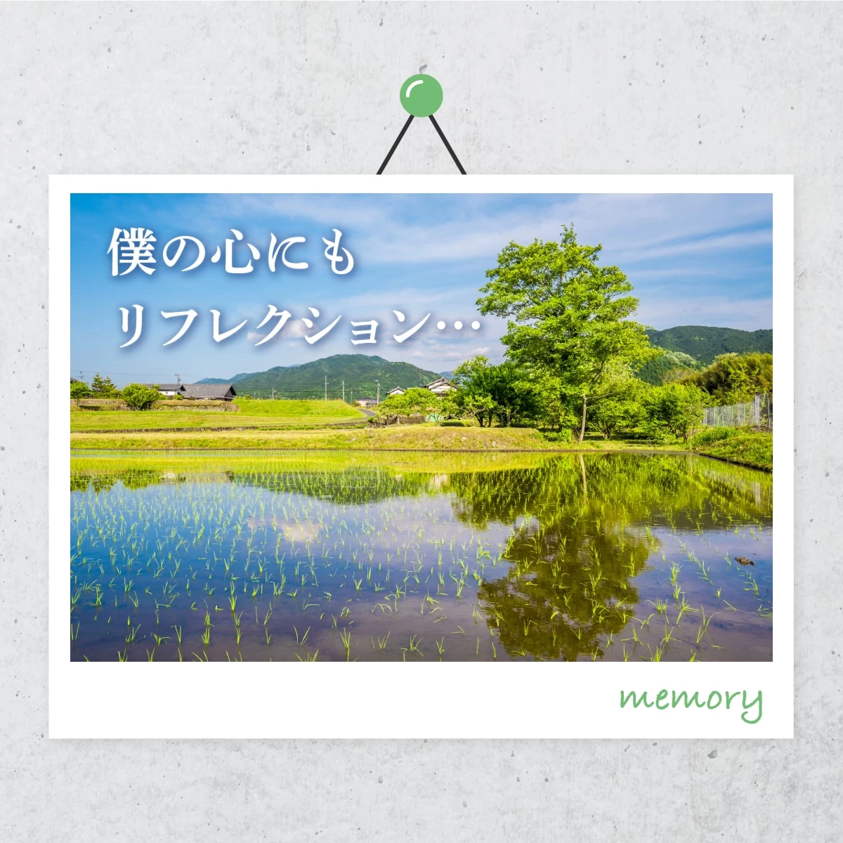 恵那は日本一の農村景観　歴史好きも必見の一人旅