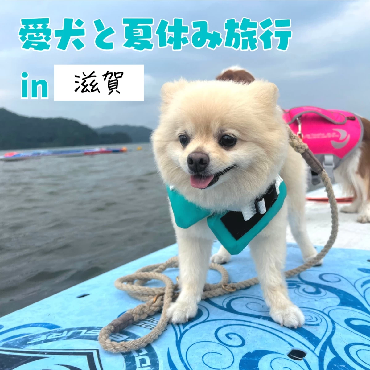 滋賀へ愛犬と温泉旅　一緒にSUPも体験！