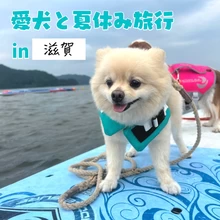 滋賀へ愛犬と温泉旅　一緒にSUPも体験！