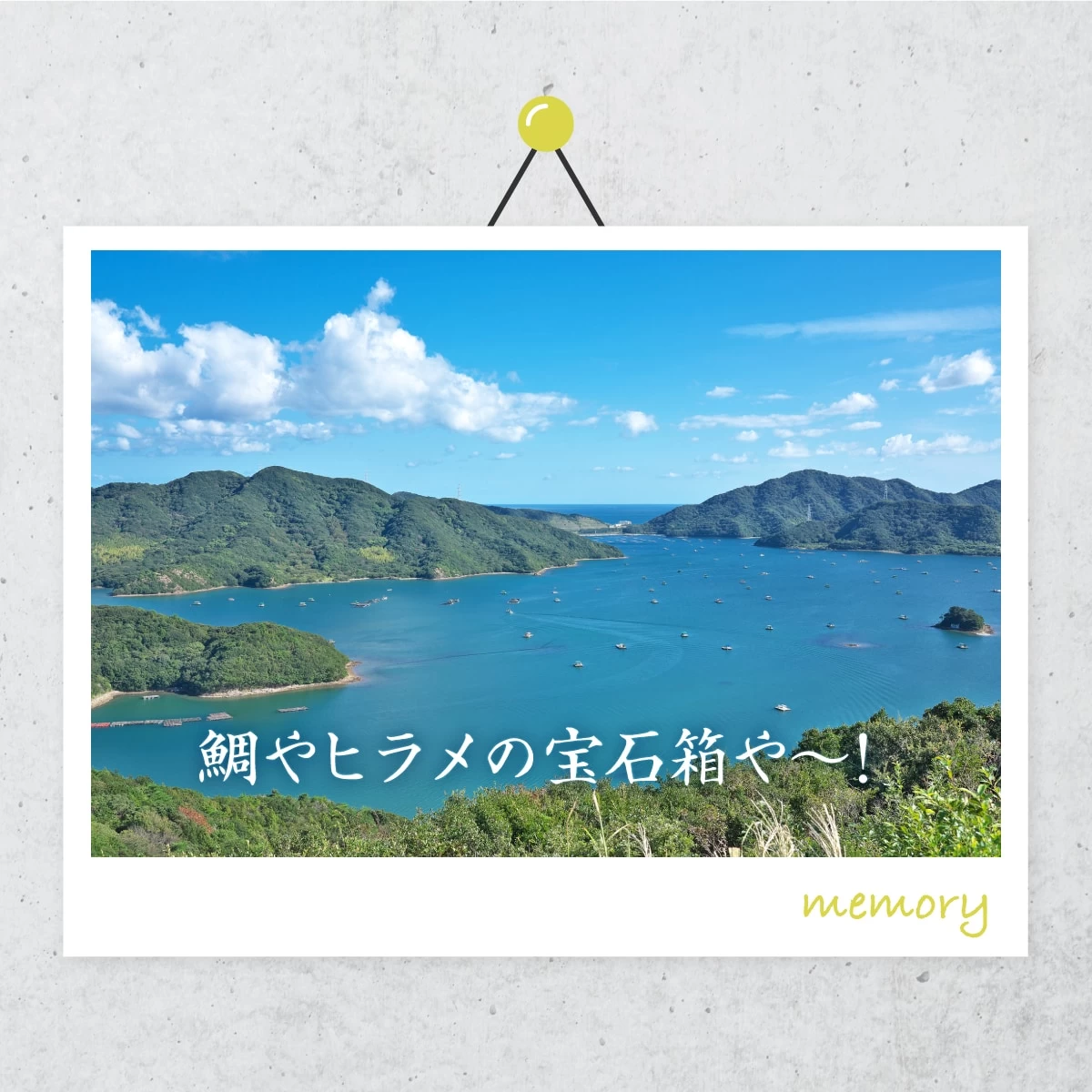 徳島へ観光＆グルメの旅  紅葉狩りと絶景を満喫