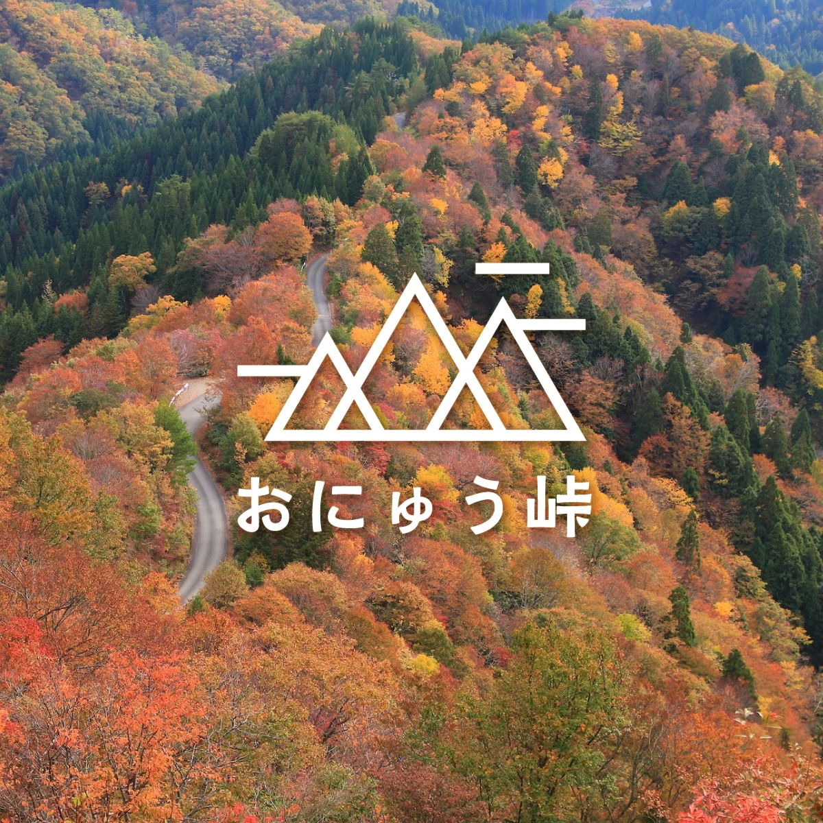 滋賀の秘境おにゅう峠へ　紅葉を巡るドライブ旅