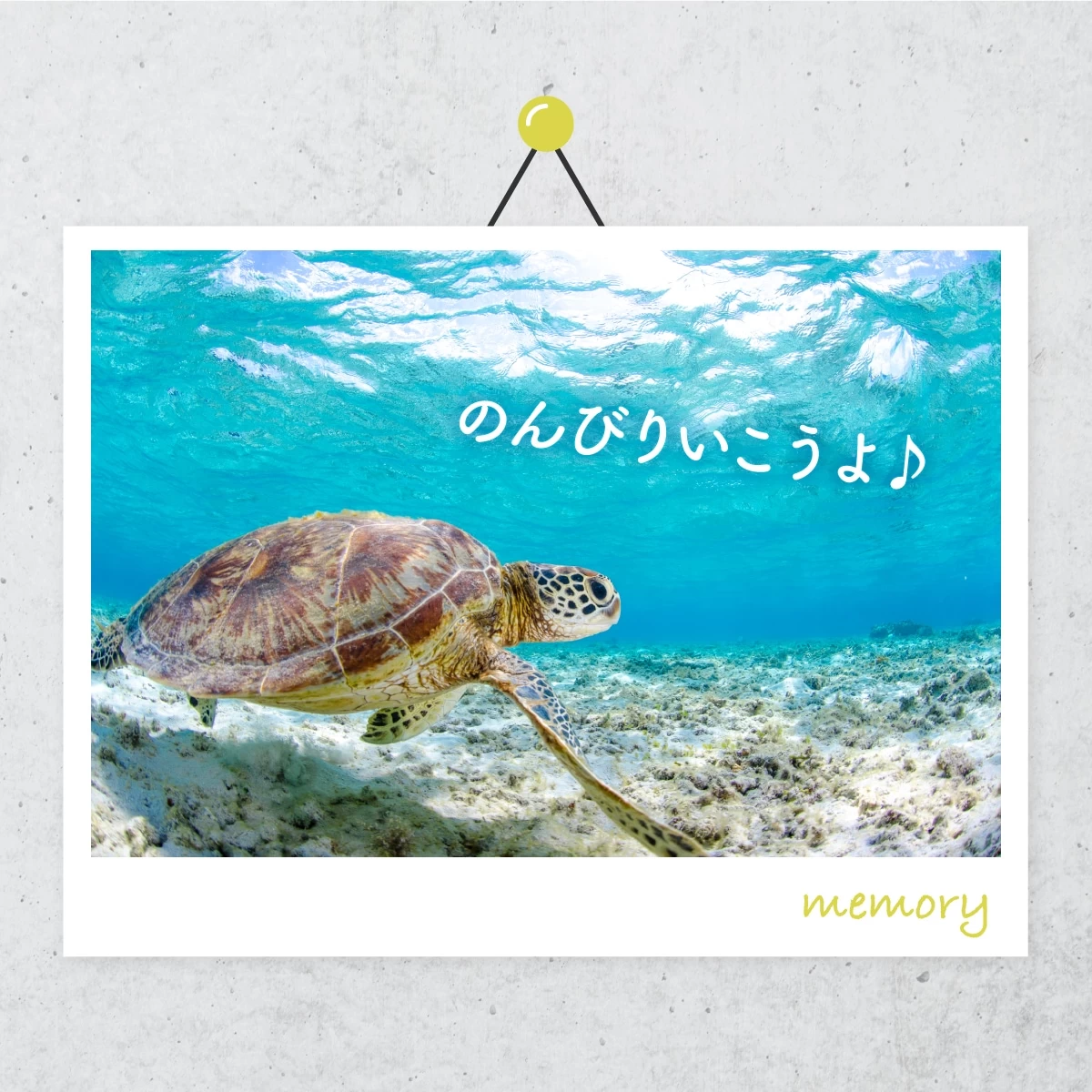 沖縄・座間味島へ一人旅　絶景ビーチや自然を満喫