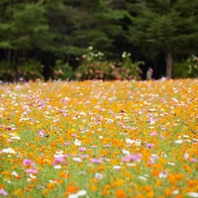 自然とアートに磨かれる　那須塩原で自遊な旅