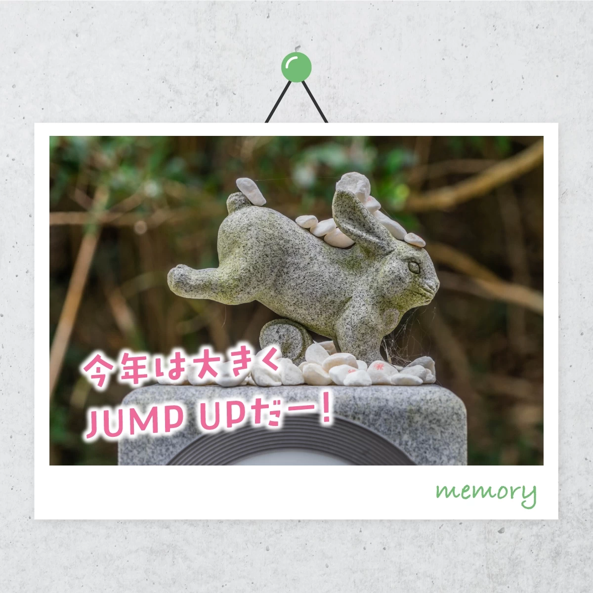 鳥取で開運八社巡りの旅　うさぎ年は白兎神社へ！