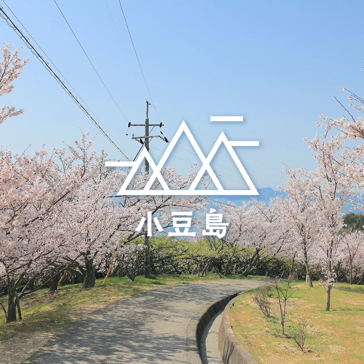 小豆島で桜の絶景を巡る　春のプチハイキング旅