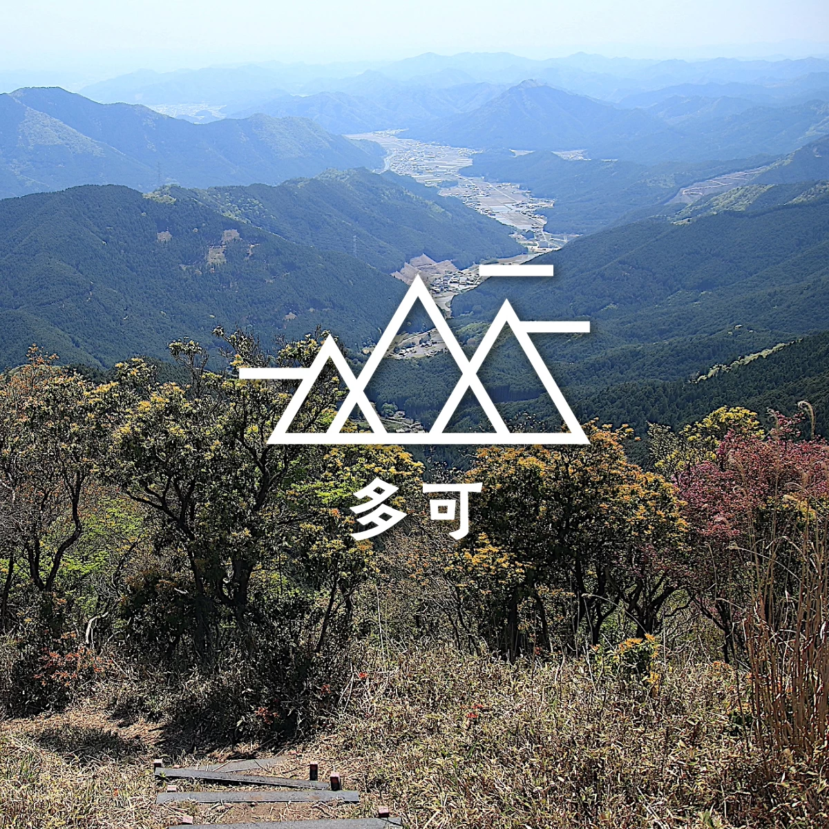 兵庫県の千ヶ峰へ！  初夏の新緑ハイキング