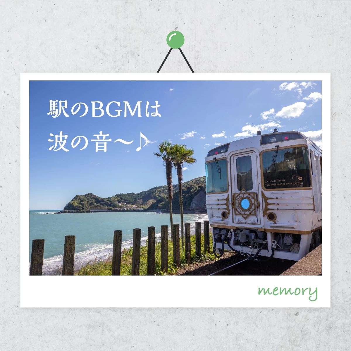 高知県須崎市へドライブ旅！海の見える駅や鍋焼きラーメンを満喫