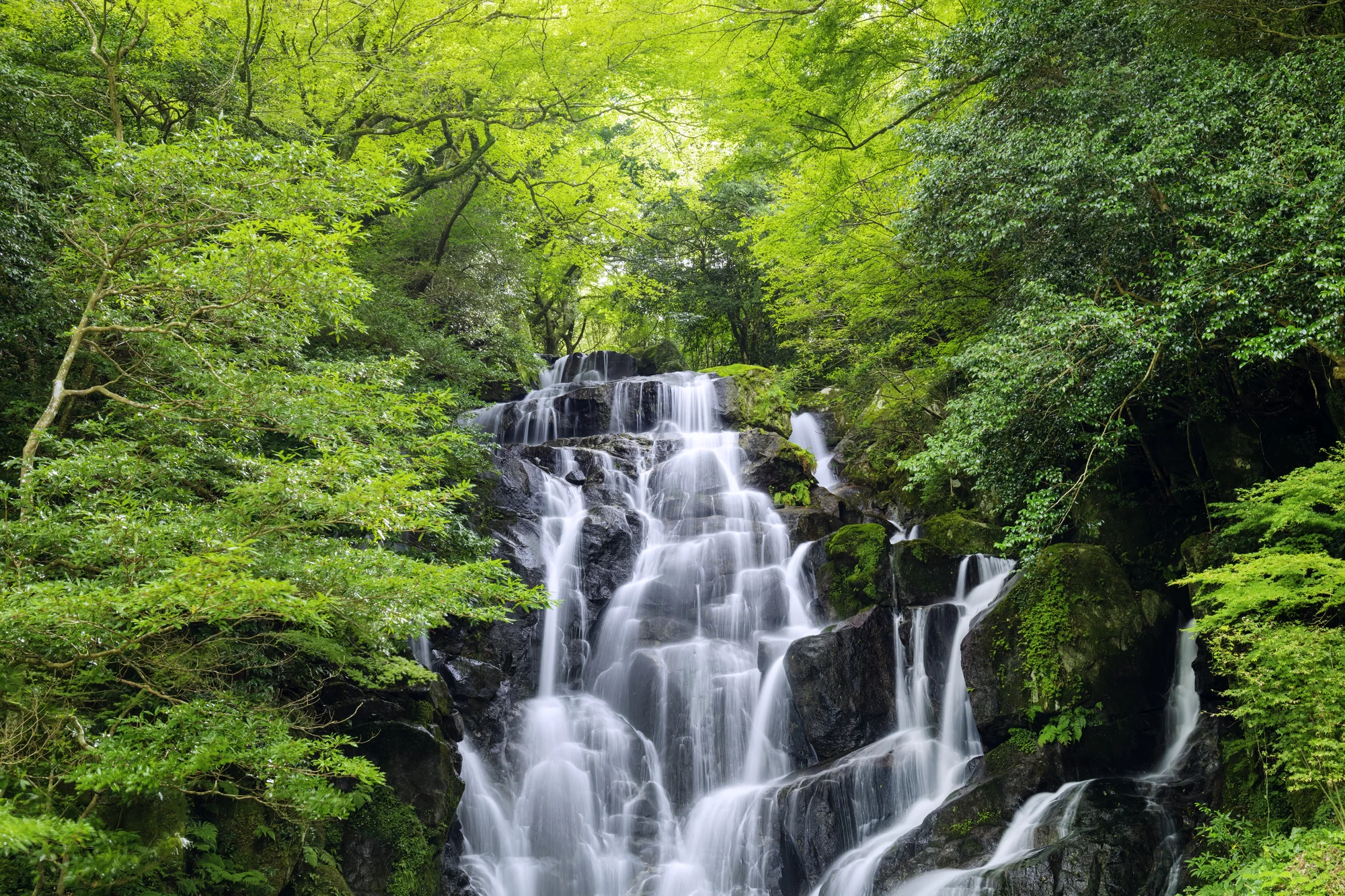 軽井沢観光へ！ 白糸の滝やハルニレテラスで自然とグルメを満喫
