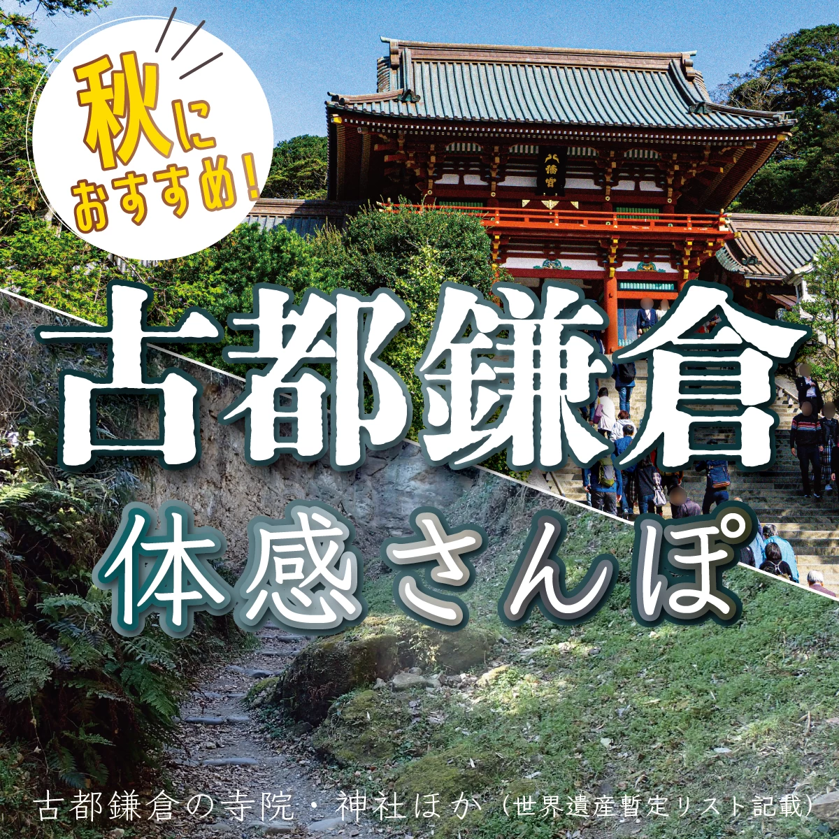 鎌倉で歴史散歩。 鶴岡八幡宮や円覚寺も巡る日帰り旅行