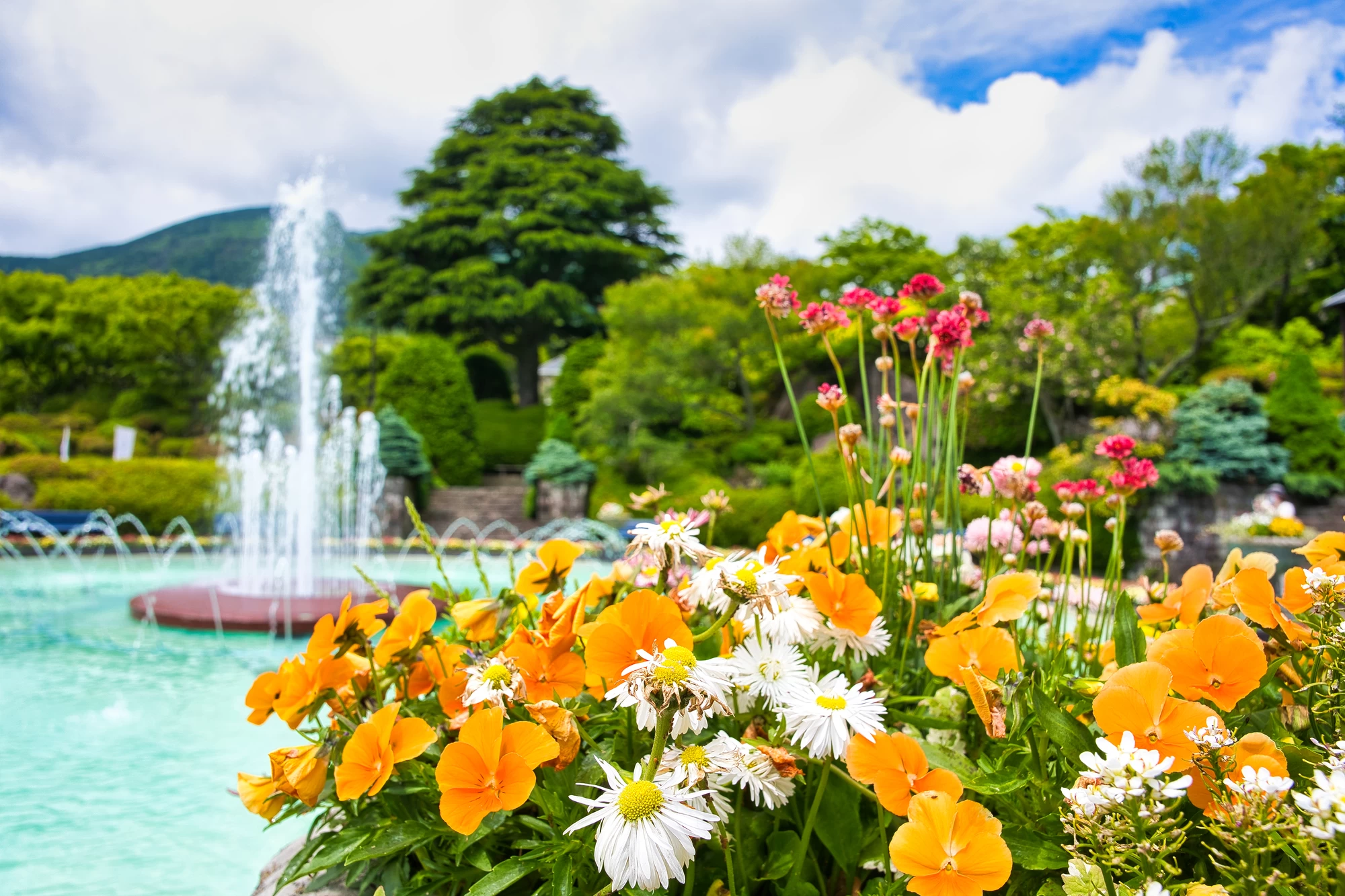彫刻の森美術館や箱根神社を観光、温泉も楽しむプチ贅沢女子旅