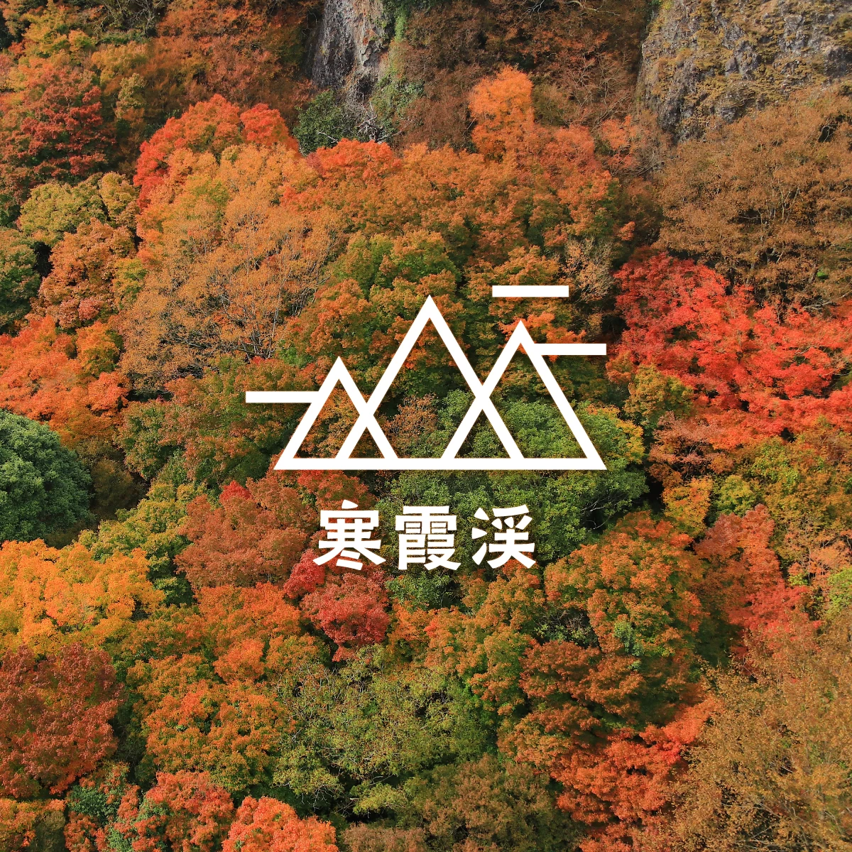 神戸から小豆島へフェリーで日帰り旅行。寒霞渓で紅葉ハイキング