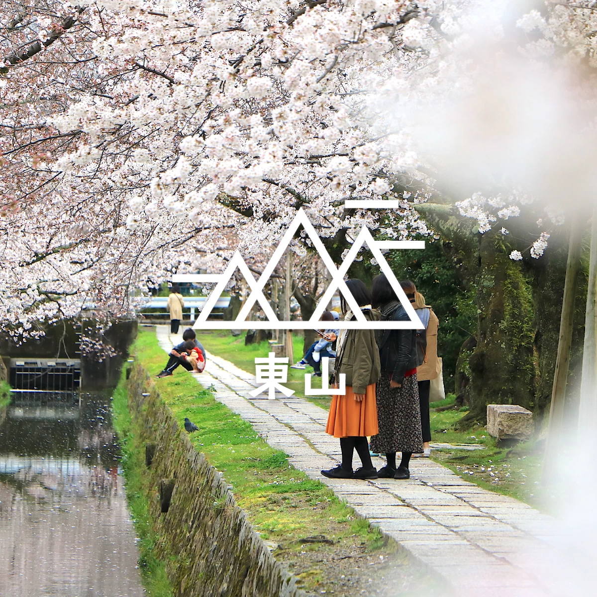 京都の桜を巡るお花見ハイキング　哲学の道や蹴上インクラインへ
