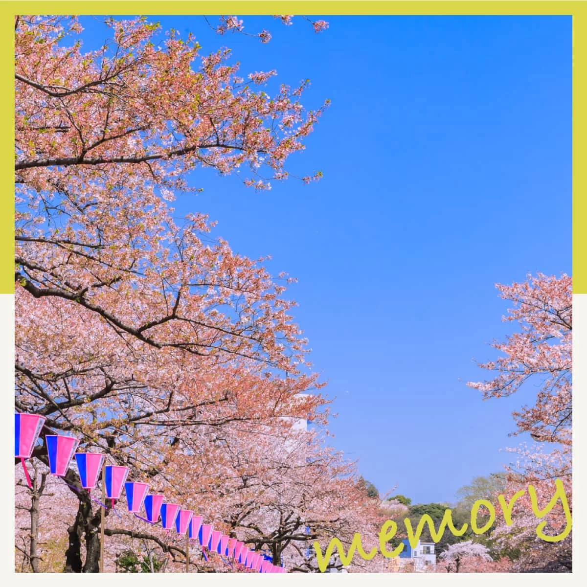 東京・文京区で桜巡り♪東洋文庫ミュージアムや天然温泉も満喫