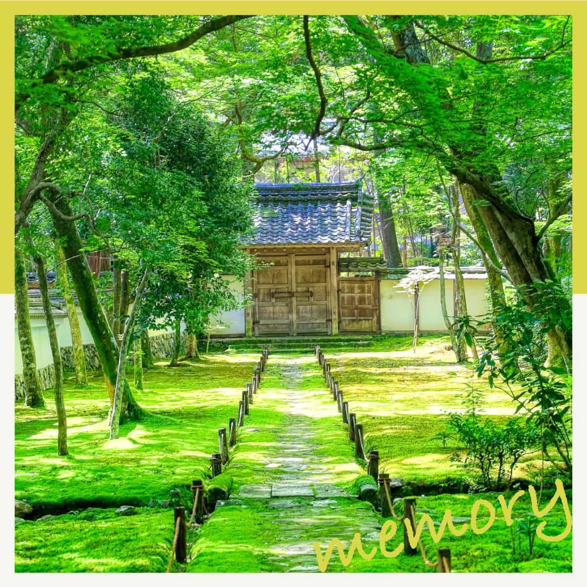 京都の苔寺「西芳寺」へ行こう♪嵐山観光も楽しむ日帰り女子旅
