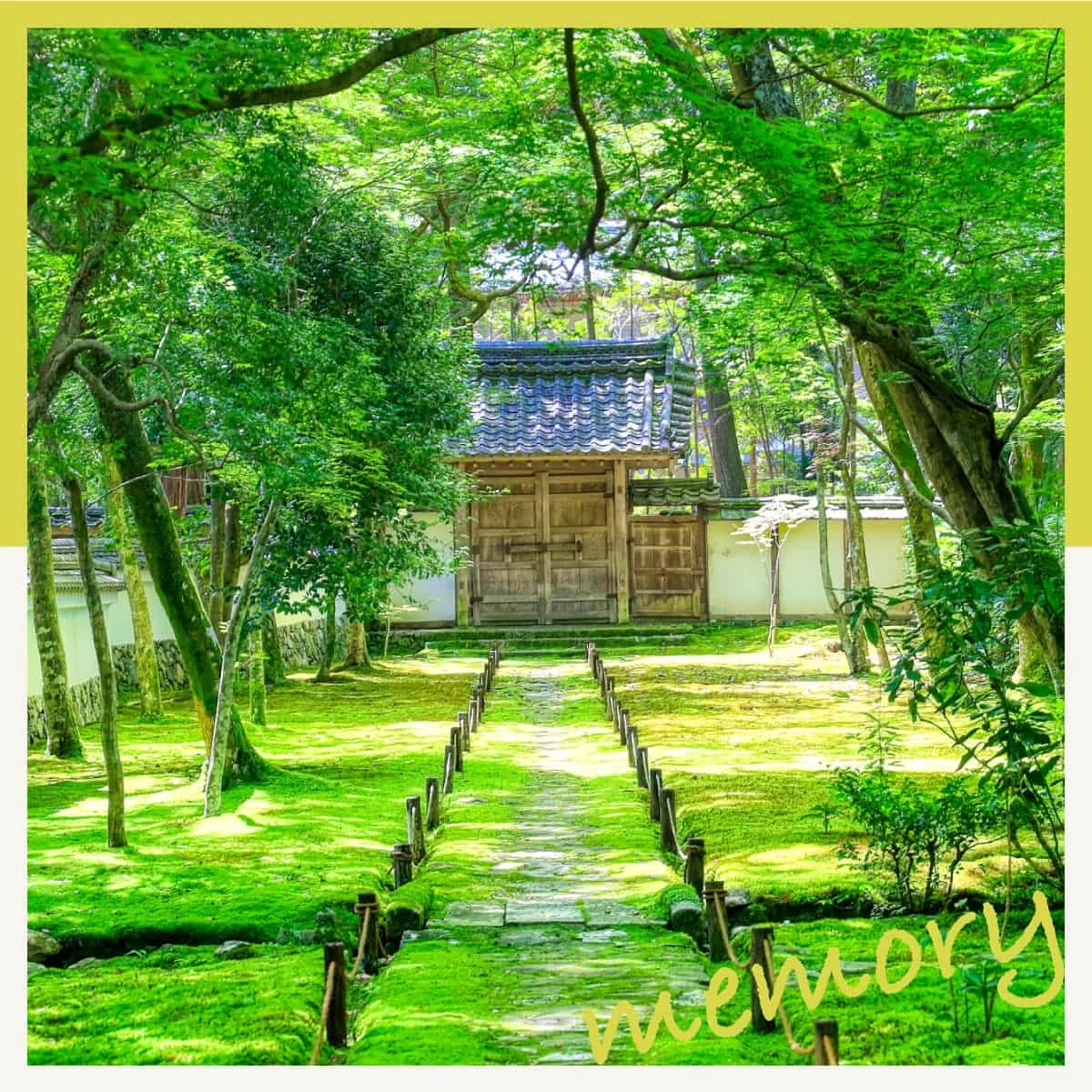 京都の苔寺「西芳寺」へ行こう♪嵐山観光も楽しむ日帰り女子旅｜旅行プランは旅色で。