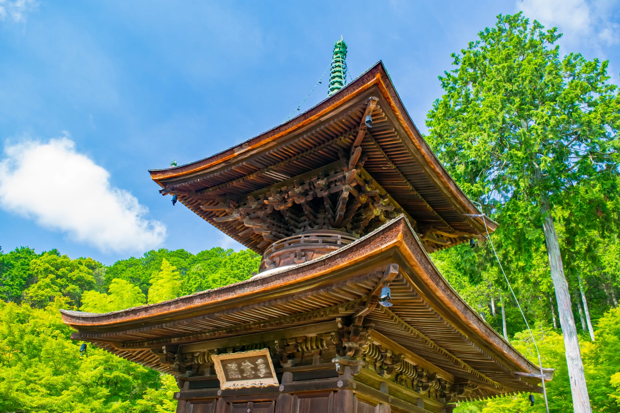 京都へ1泊2日の女子旅！二条城や嵐山散策に食べ歩きも満喫