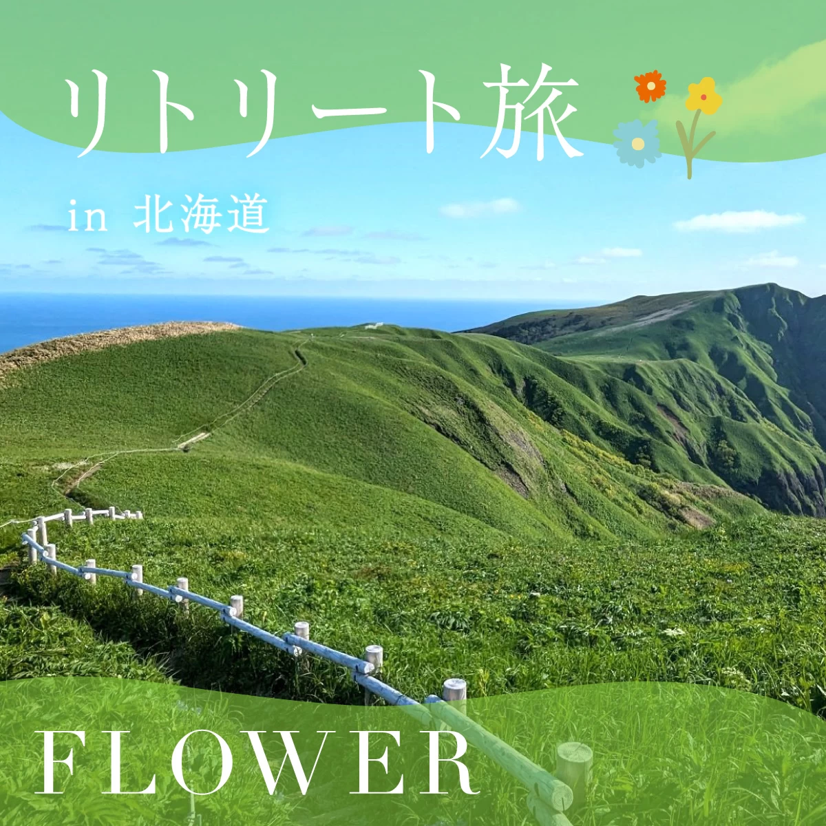 北海道・礼文島でトレッキング！夏の花畑を楽しむリトリート旅