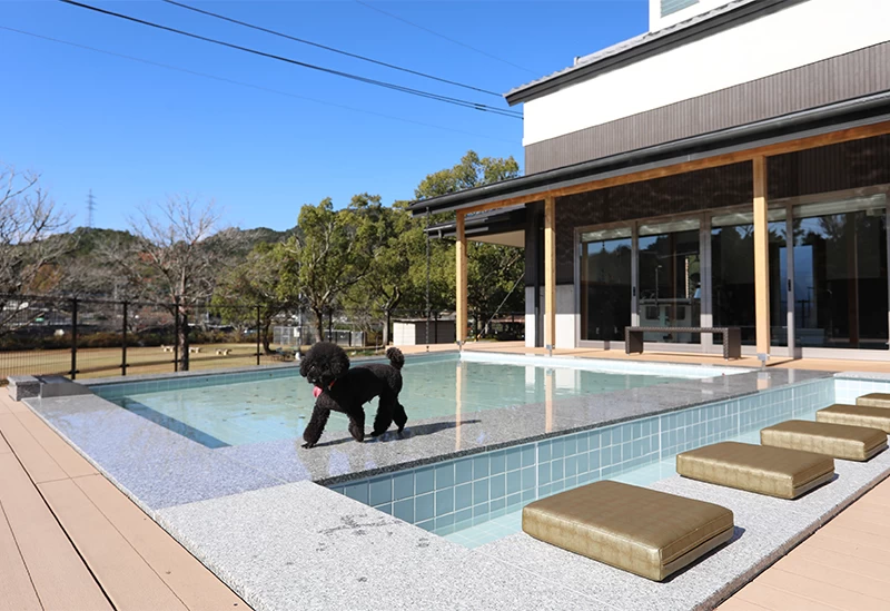 熊本へ愛犬と温泉宿へ　自然を満喫する1泊2日の家族旅