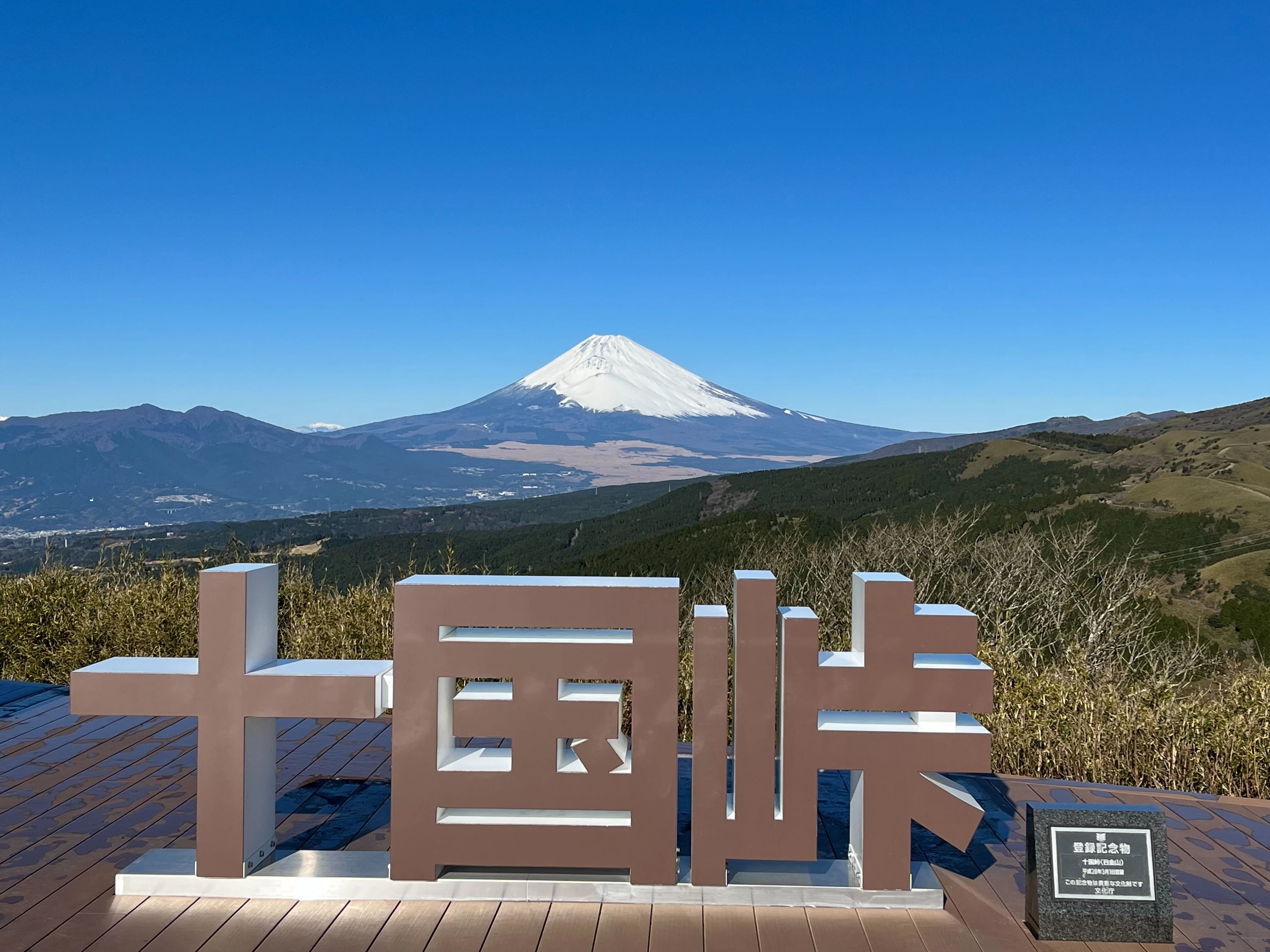 静岡・箱根十国峠と初島へ　愛犬と絶景や離島を満喫カップル旅