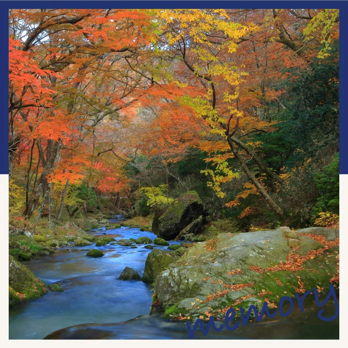 茨城の紅葉名所を巡る日帰りドライブ！袋田の滝や花貫渓谷へ｜旅行プランは旅色で。