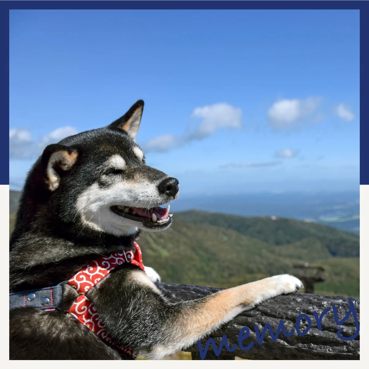 愛犬と那須でグランピング旅！那須ハイランドパークや那須岳へも