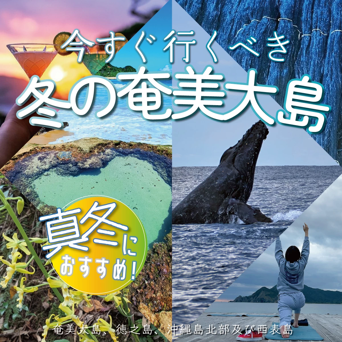 冬の奄美大島の観光モデルコース2泊3日　アクティビティを満喫