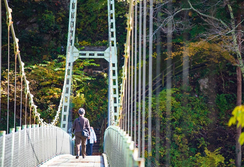 長野・伊那で自然や温泉を満喫　天龍峡や高遠城址公園散策へ