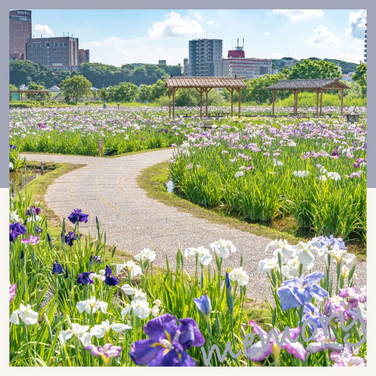 東京・小岩菖蒲園へドライブデート♪プラネタリウムも堪能する旅