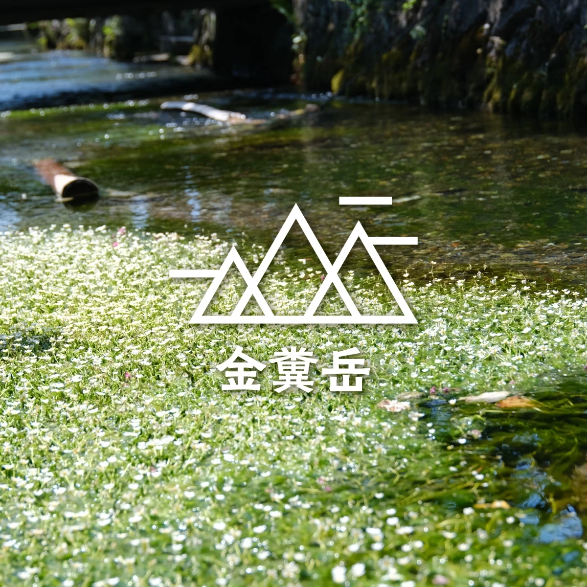 絶景を求めて日帰り夏旅！滋賀県・金糞岳で涼景ハイキング