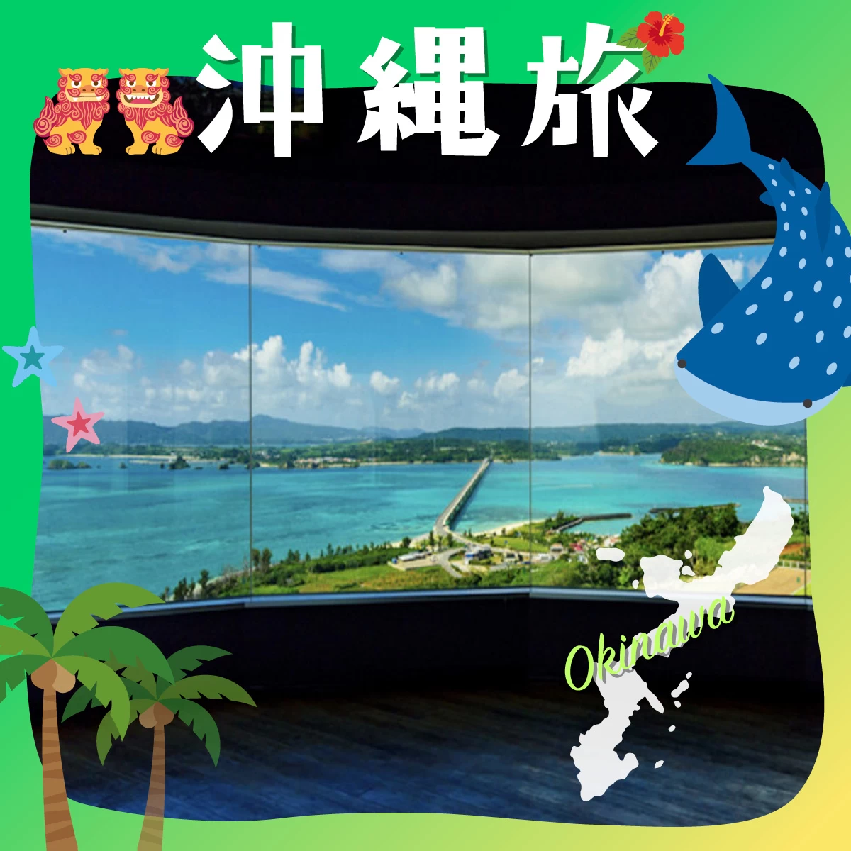 沖縄北部でイルカとふれあい体験！グルメ＆絶景も巡る癒やし旅へ