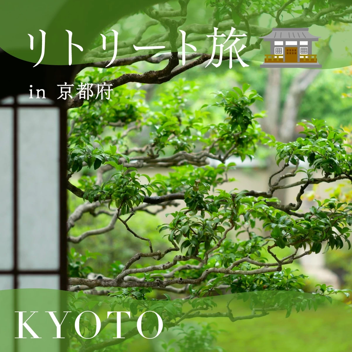 「そうだ 京都、行こう。」夏の京都と苔の美に触れる1泊2日旅