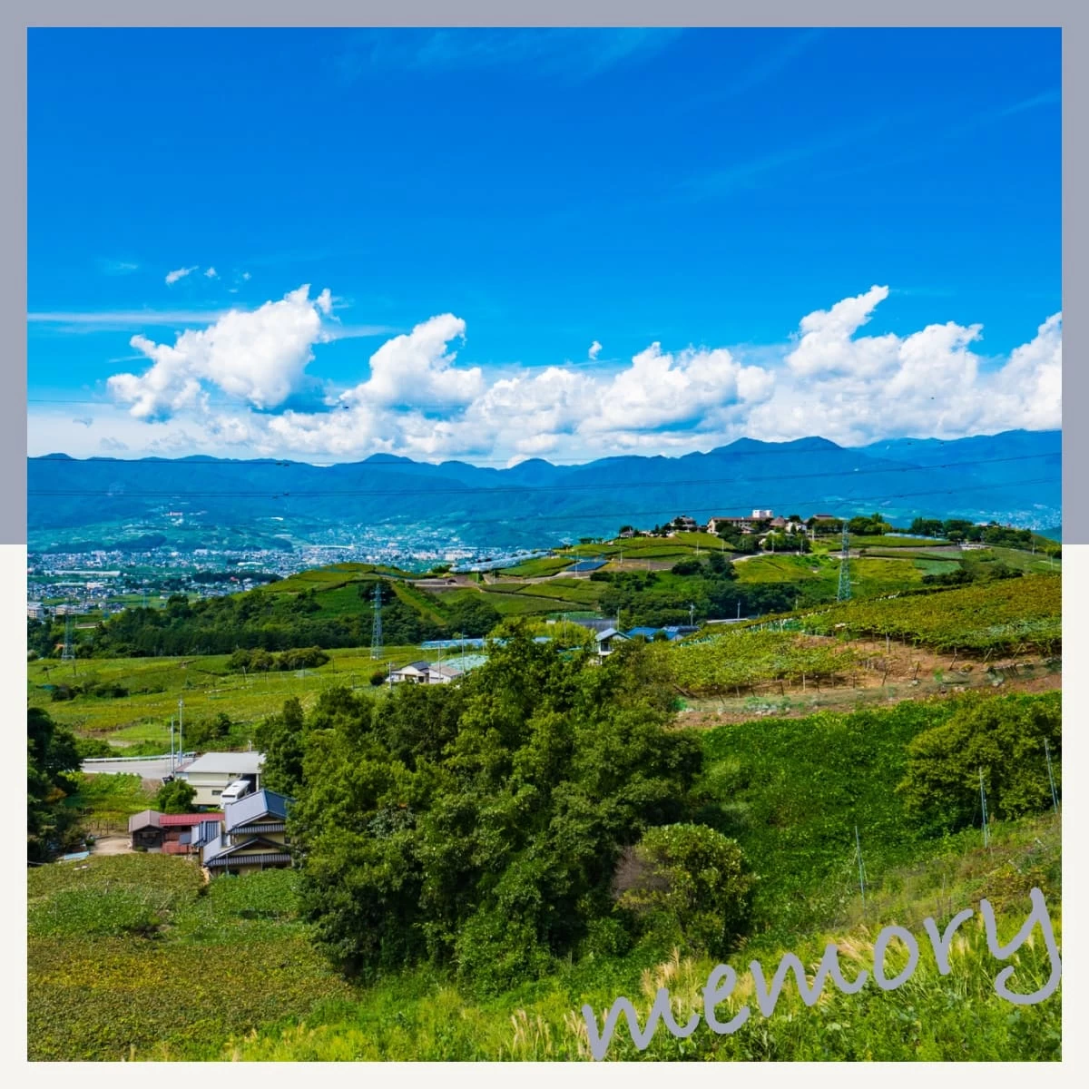 山梨・勝沼へショートトリップ!ワインとハーブに癒やされる旅