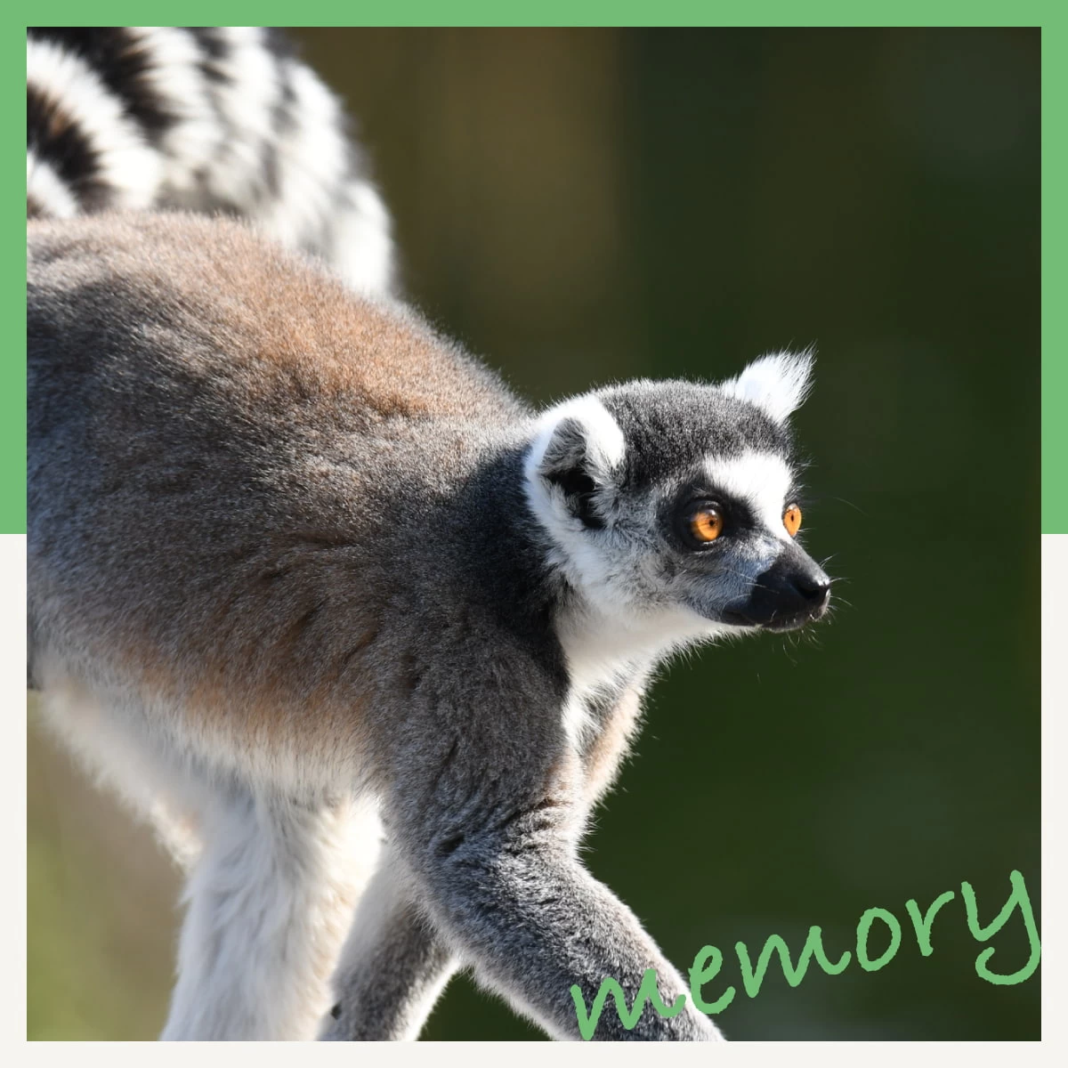 那須高原へ子連れ旅！トリックアート美術館や動物園を楽しむ旅