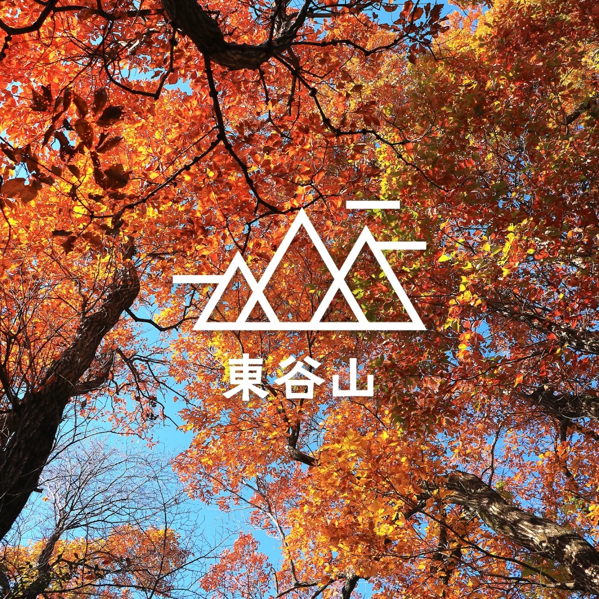 名古屋の名山を日帰りハイキング!親鸞山&東谷山で紅葉を満喫