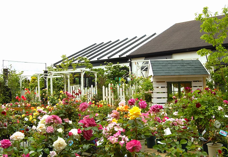 兵庫県・宝塚市で園芸やダリア園を満喫 母娘で楽しむ日帰り旅