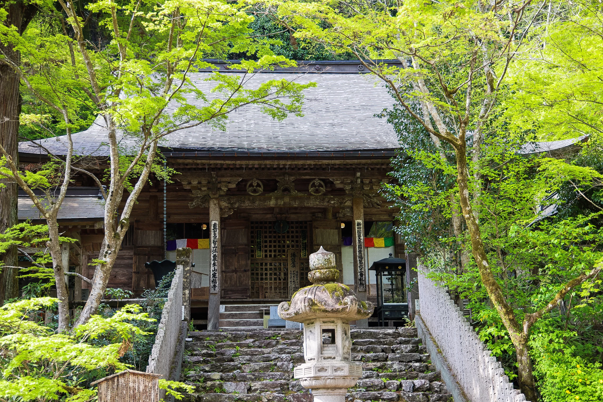 高知・大豊町の自然を満喫　日本一の大杉＆梶ヶ森でキャンプ旅