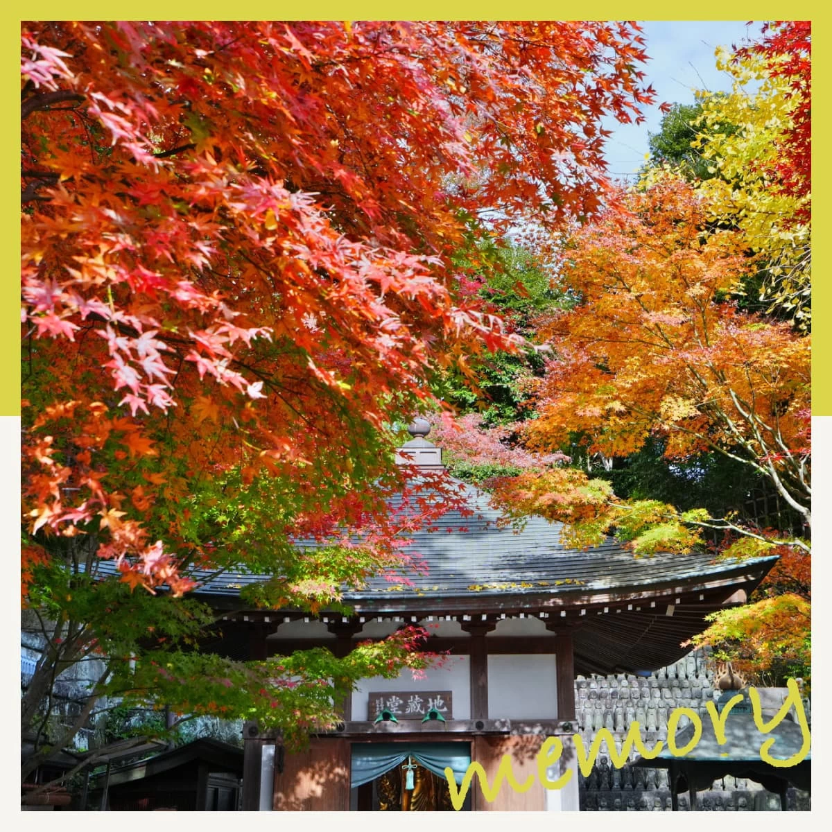 秋の鎌倉へ日帰り観光。紅葉狩りやライトアップを楽しむ女子旅