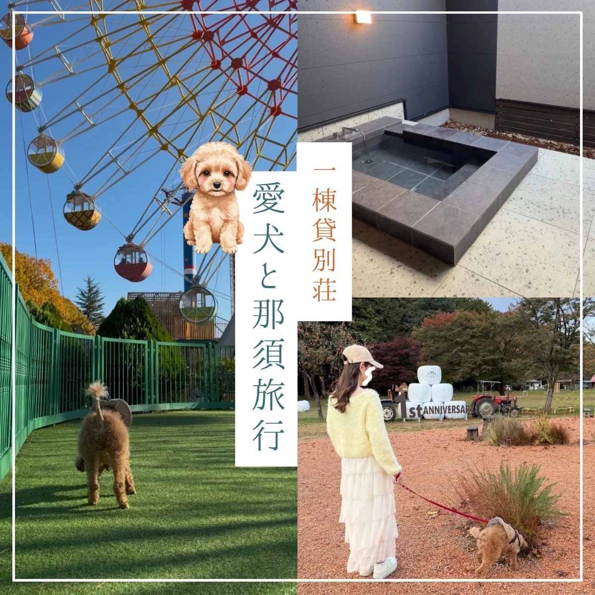 那須高原の貸別荘を愛犬と満喫！自然を感じる癒やしの旅へ