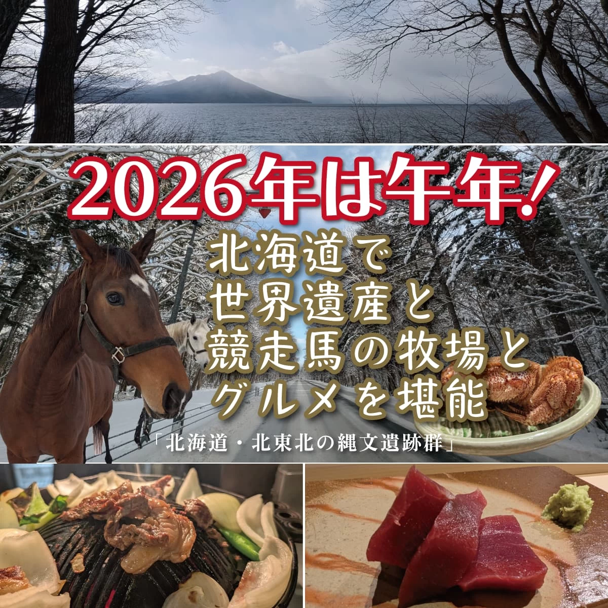 2026年は午年!北海道で競走馬牧場や縄文遺跡群を巡る旅